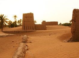 M’hamid, last oasis in the Drâa Valley 