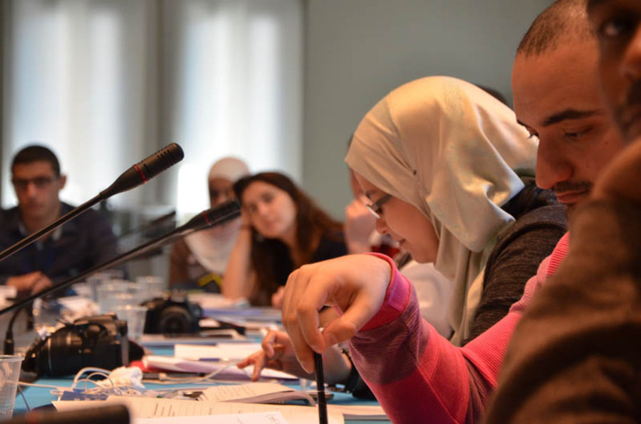 Alternatives for youth participation in the sociopolitical landscape of the MENA region
