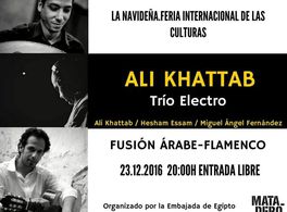 Concert by Ali Khattab in Madrid 