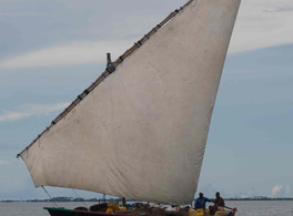 Arabs in African Eastern Coasts