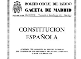 The Constitution: Why was it made this way?