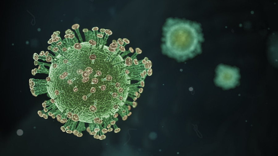 The impact of coronavirus on Arab countries  