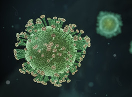 The impact of coronavirus on Arab countries  