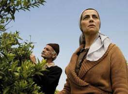 Commemoration of the “Nakba” with a special screening of “Lemon Tree”