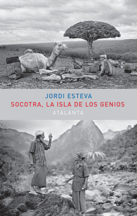 About Socotra: A conversation with Jordi Esteva 