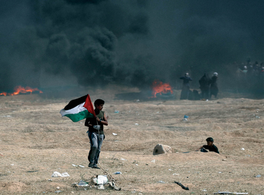 Presentation of “Palestine, the Narrow Land” and “Palestinian Childhood and Survival”