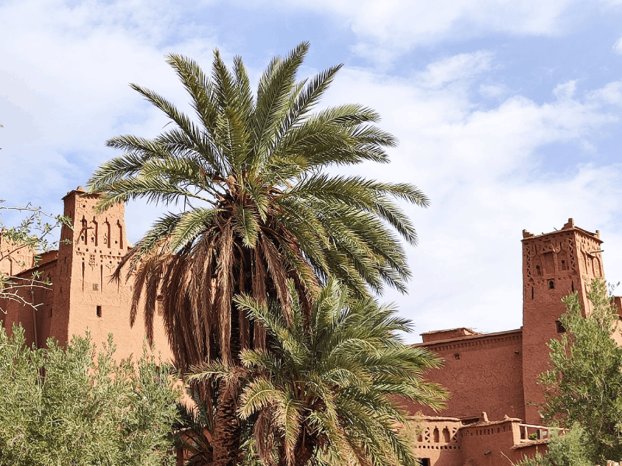 Between Desert and Oasis: Climate and water in medieval Darʿa