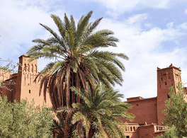 Between Desert and Oasis: Climate and water in medieval Darʿa