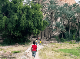 Hadramaut, persistence and memory 