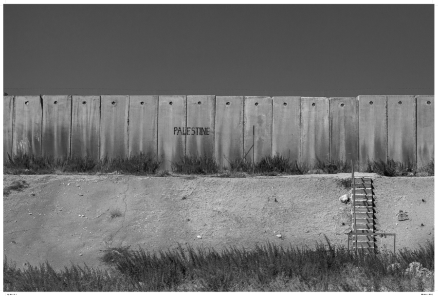 Driving in Palestine | التحرّك في فلسطين