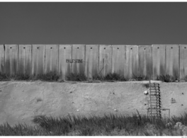 Driving Through Palestine | في التحرّكفلسطين