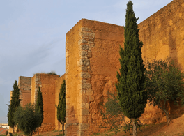 Art education course: The Artistic Legacy of Al-Andalus (I) 