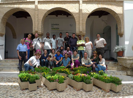 Casa Árabe in the Festival of Patios