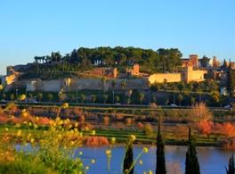 Presentation for the Millennium of the Kingdom of Badajoz 