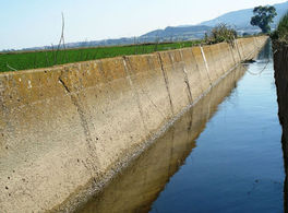 Seminar on “Water scarcity and governance in Jordan and Spain” 