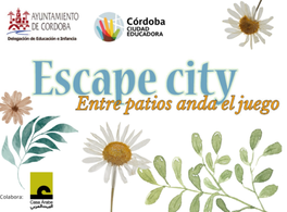 Casa Árabe takes part in the “Discover Cordoba’s Courtyards” program organized by the city government 